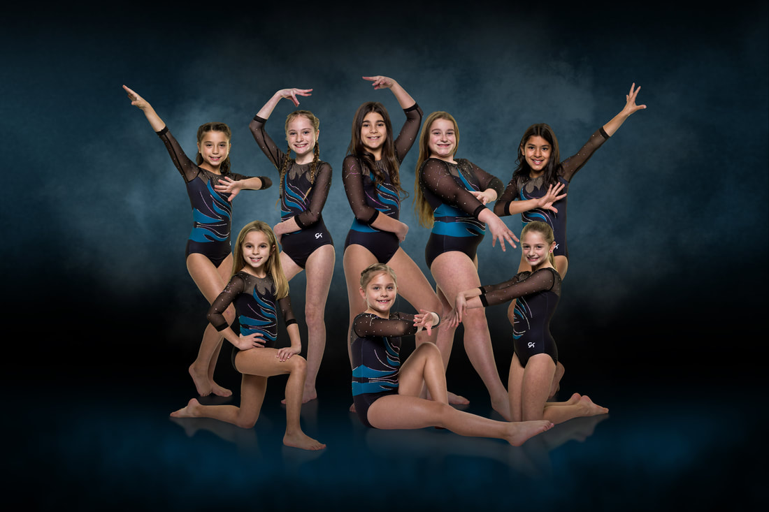 ALL AROUND GYMNASTICS ACADEMY BOOSTER CLUB - Home